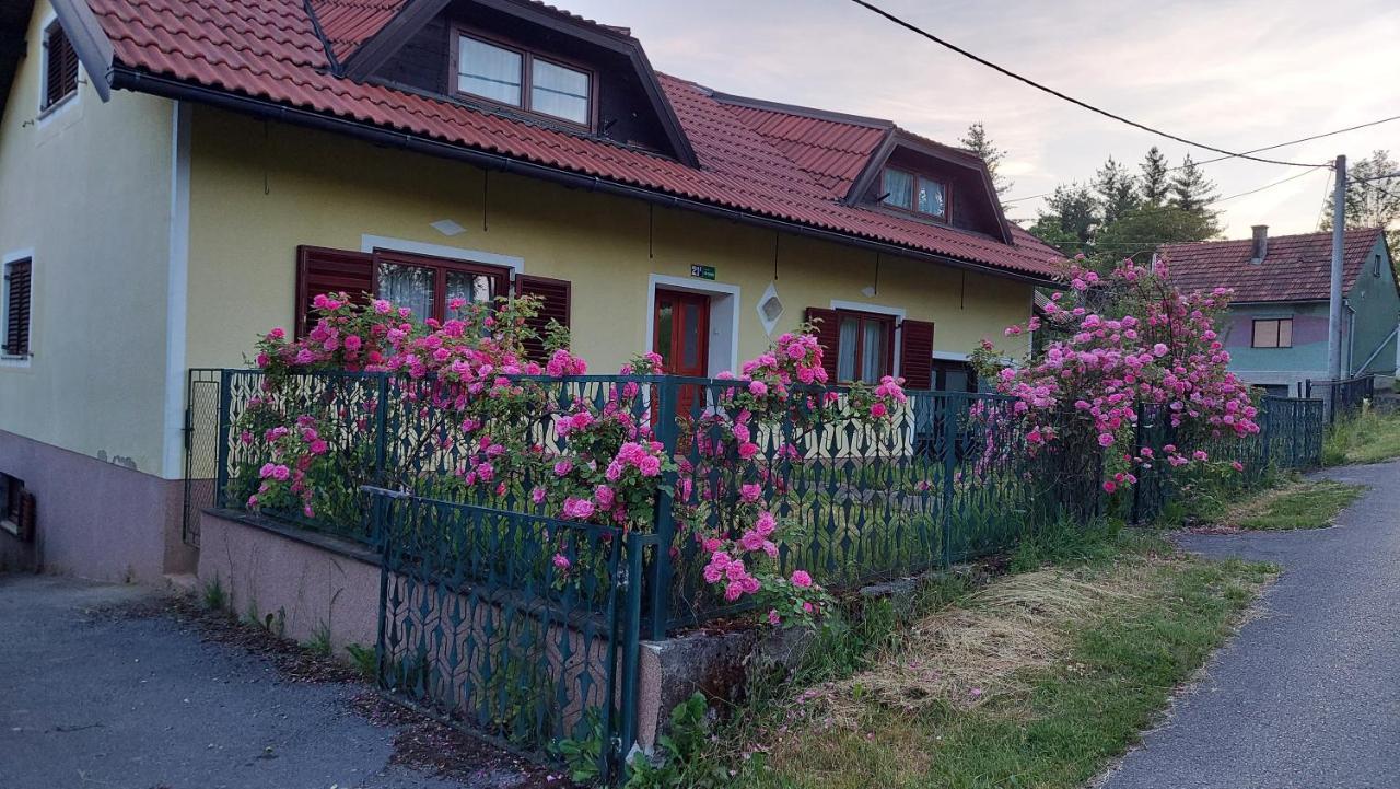 Kuca Za Odmor ,Erdelj 21 B Apartamento Generalski Stol Exterior foto