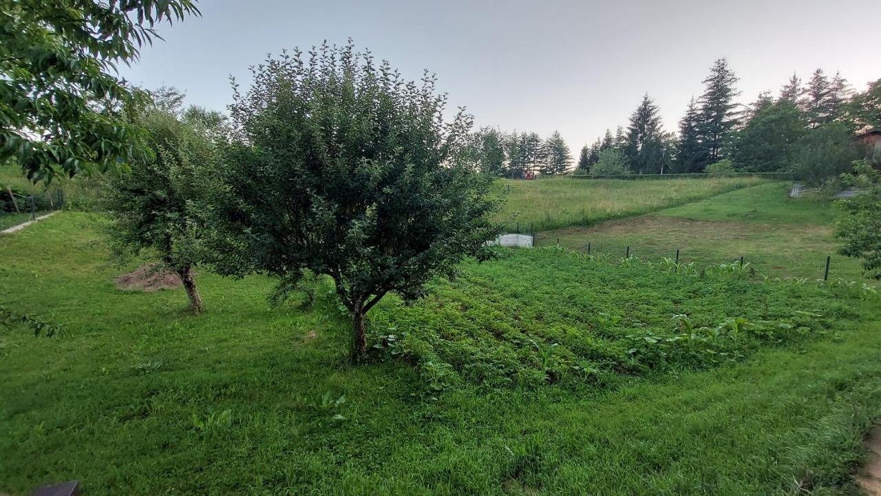 Kuca Za Odmor ,Erdelj 21 B Apartamento Generalski Stol Exterior foto