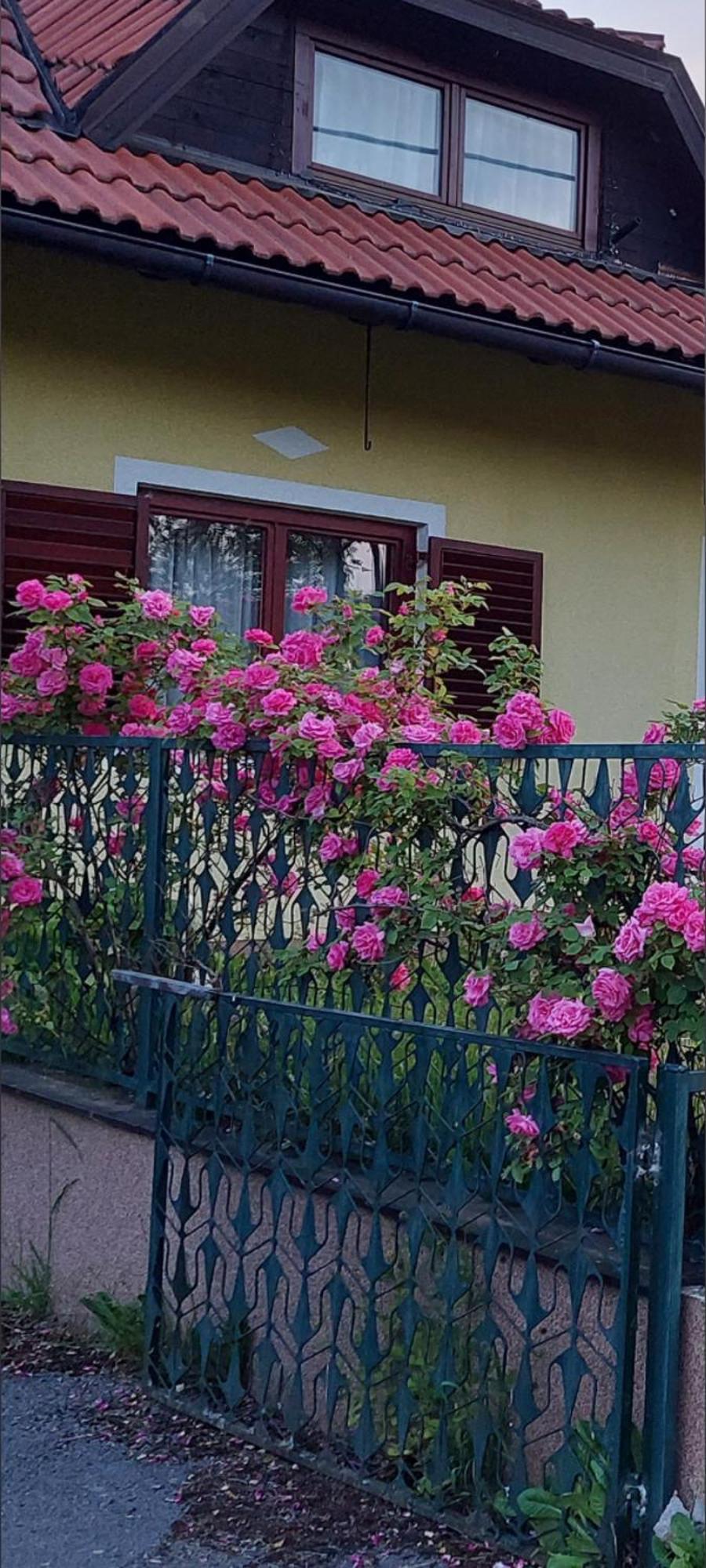 Kuca Za Odmor ,Erdelj 21 B Apartamento Generalski Stol Exterior foto